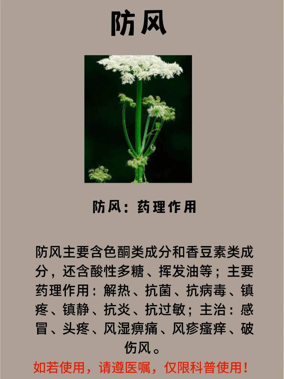 药用价值不容小觑