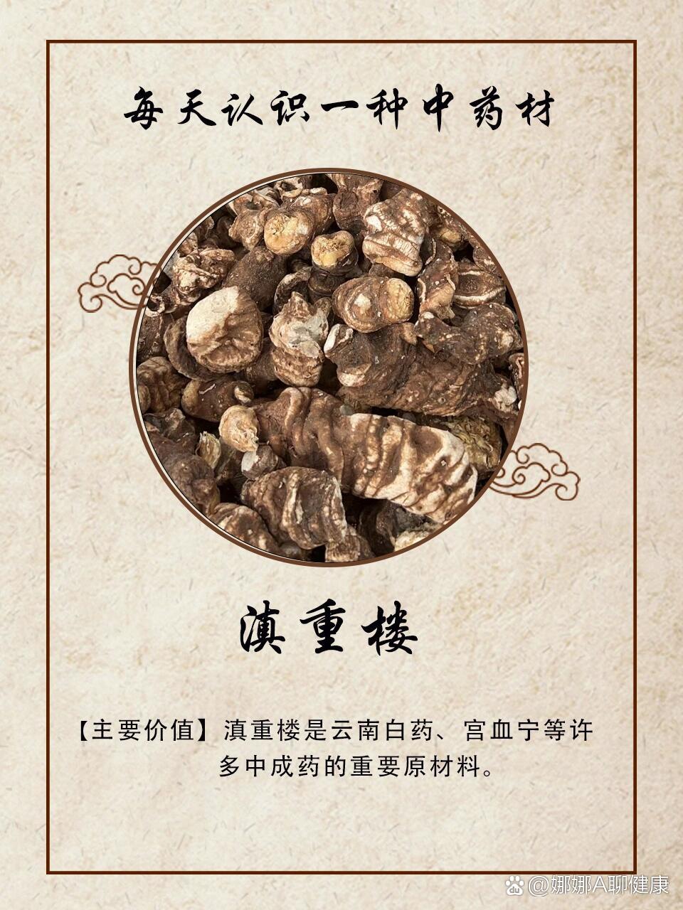 重楼的注意事项与选购建议