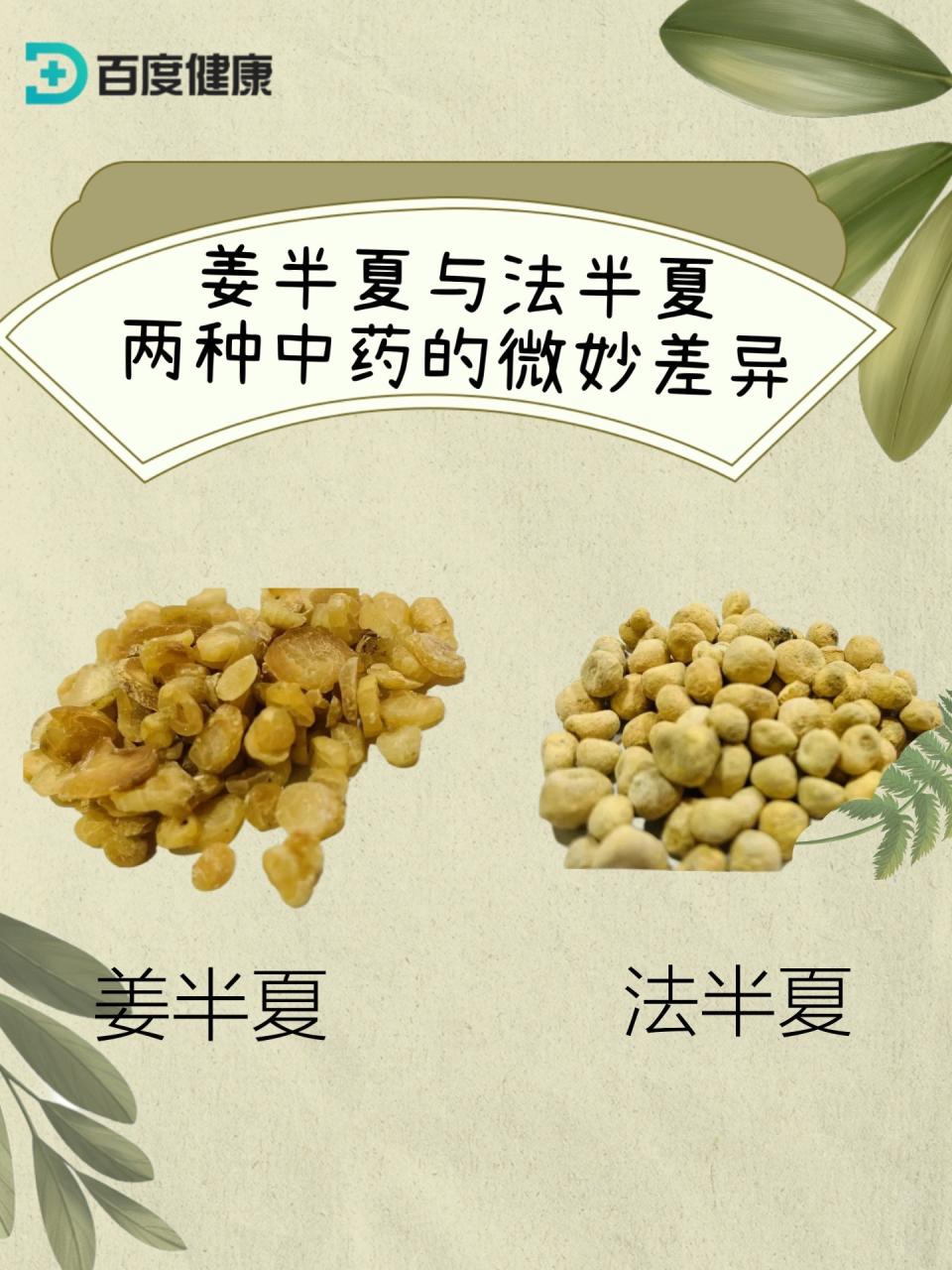 姜半夏的现代研究与应用