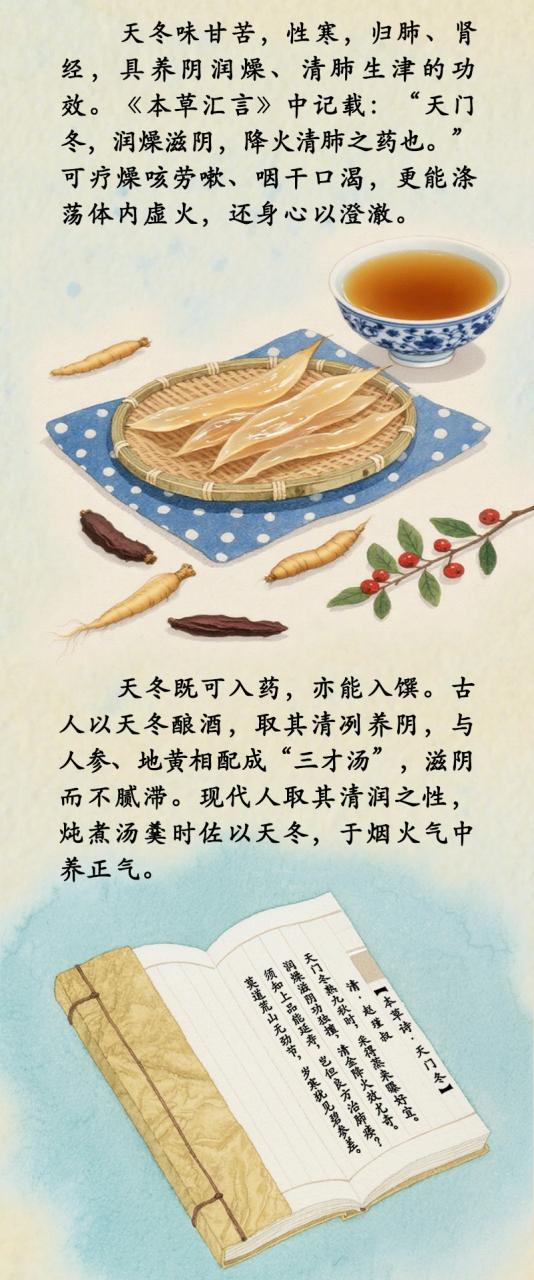 自然的力量,健康的守护