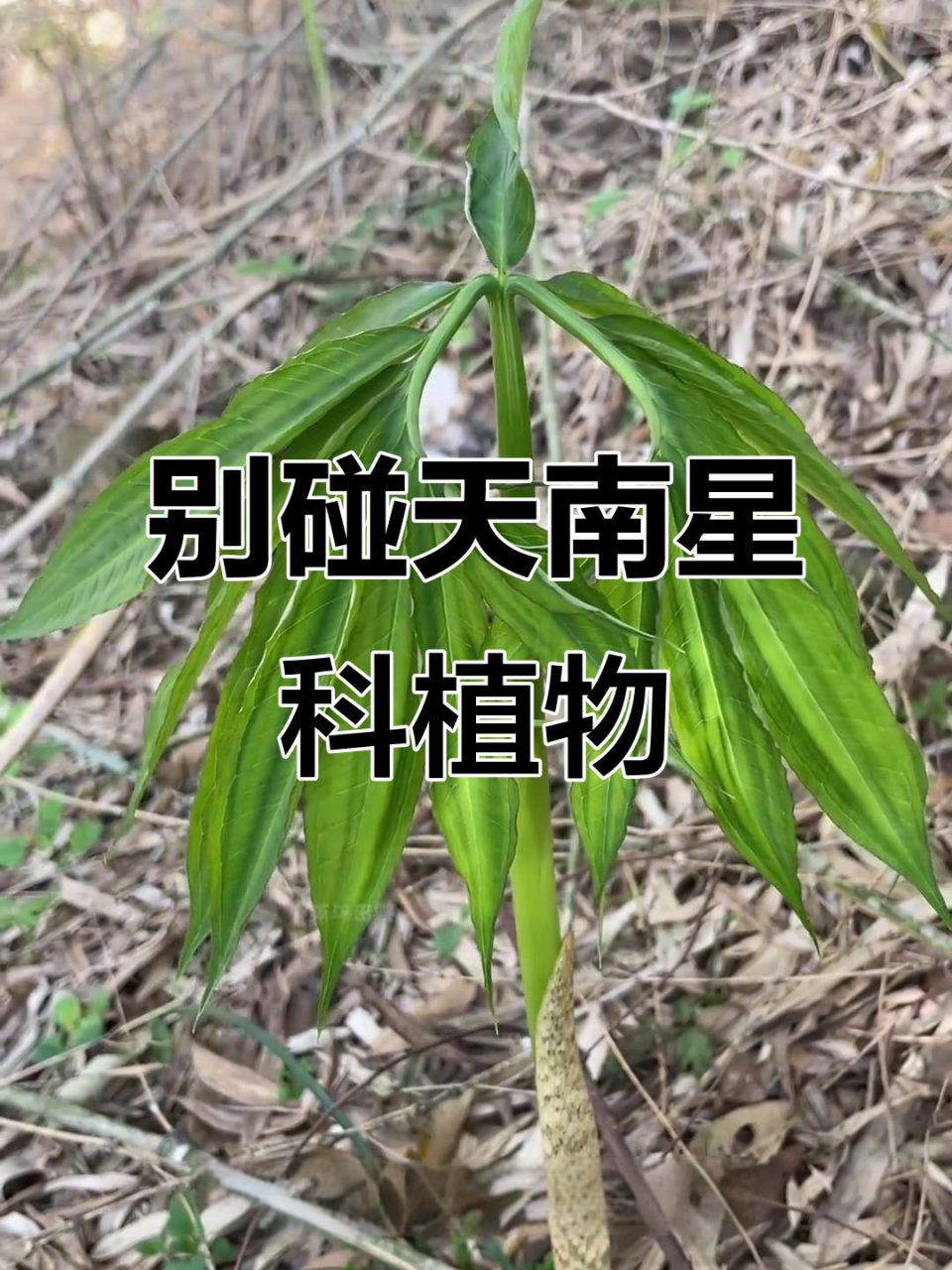 注意事项