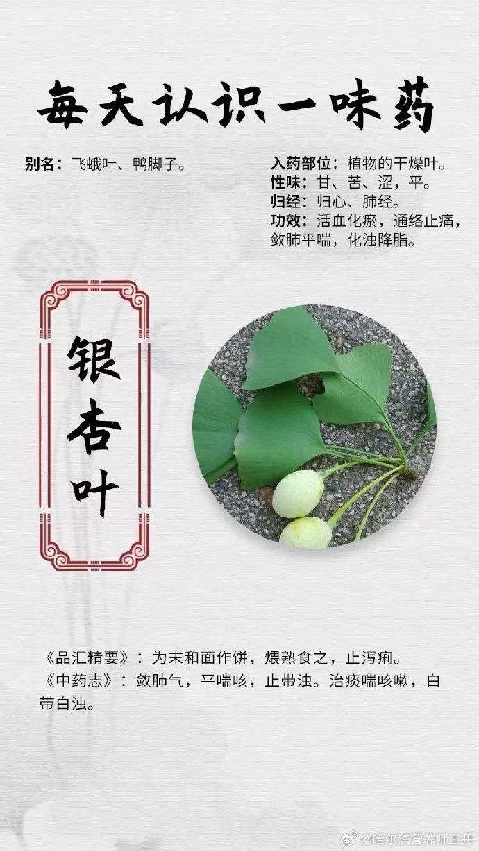 科学应用与日常使用