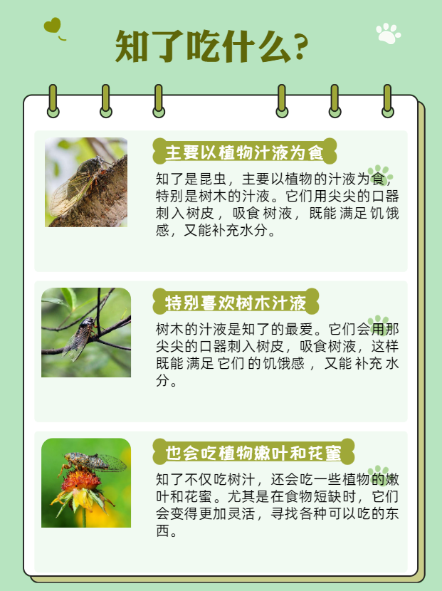 增强免疫力,改善体质