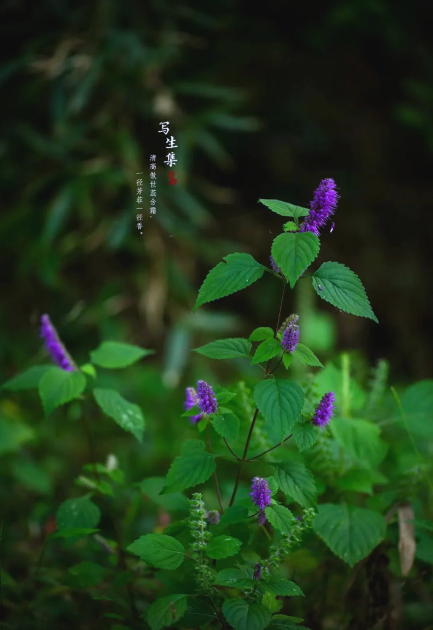 日常应用小妙招