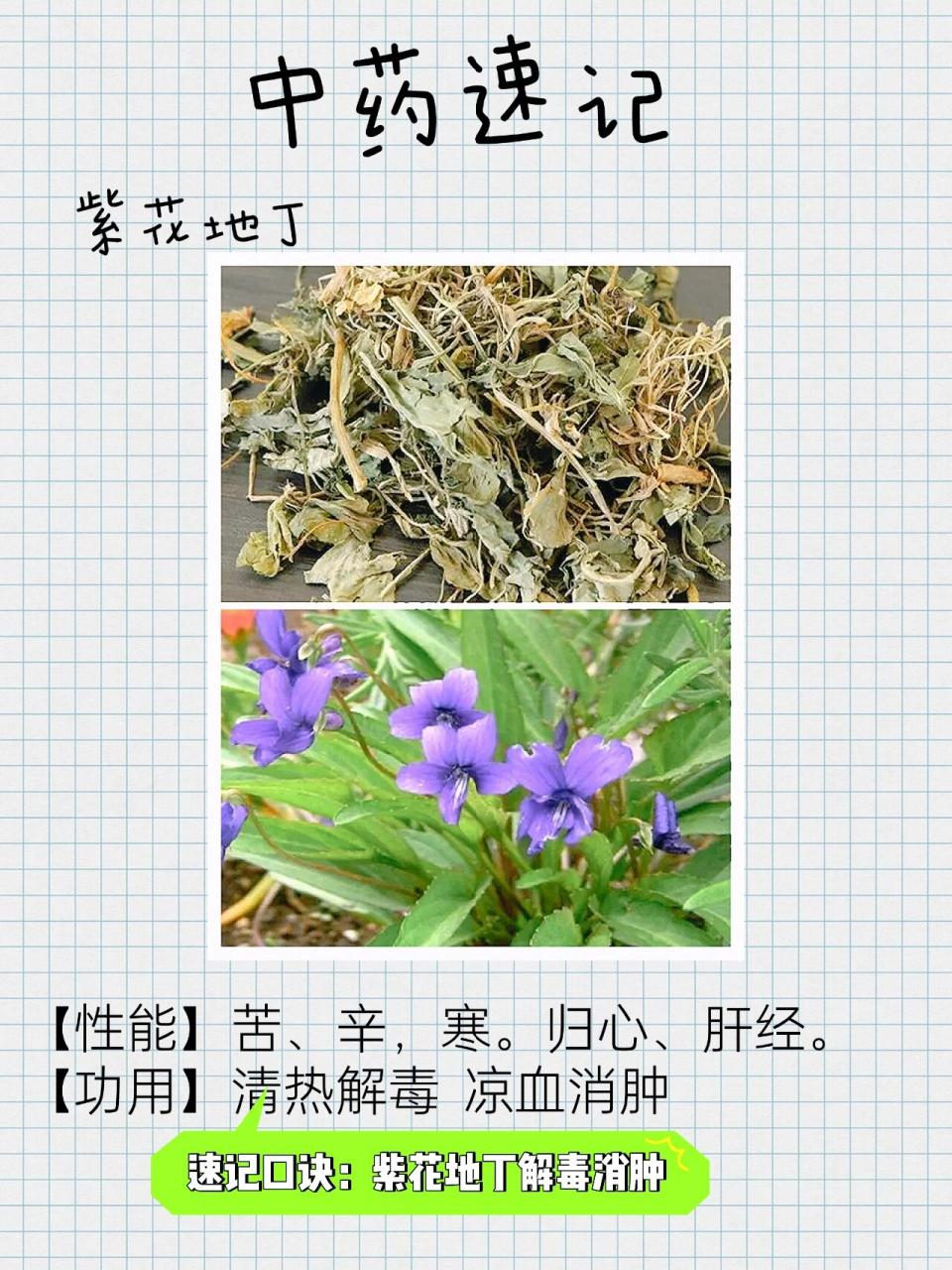 功能多样,主治范围广