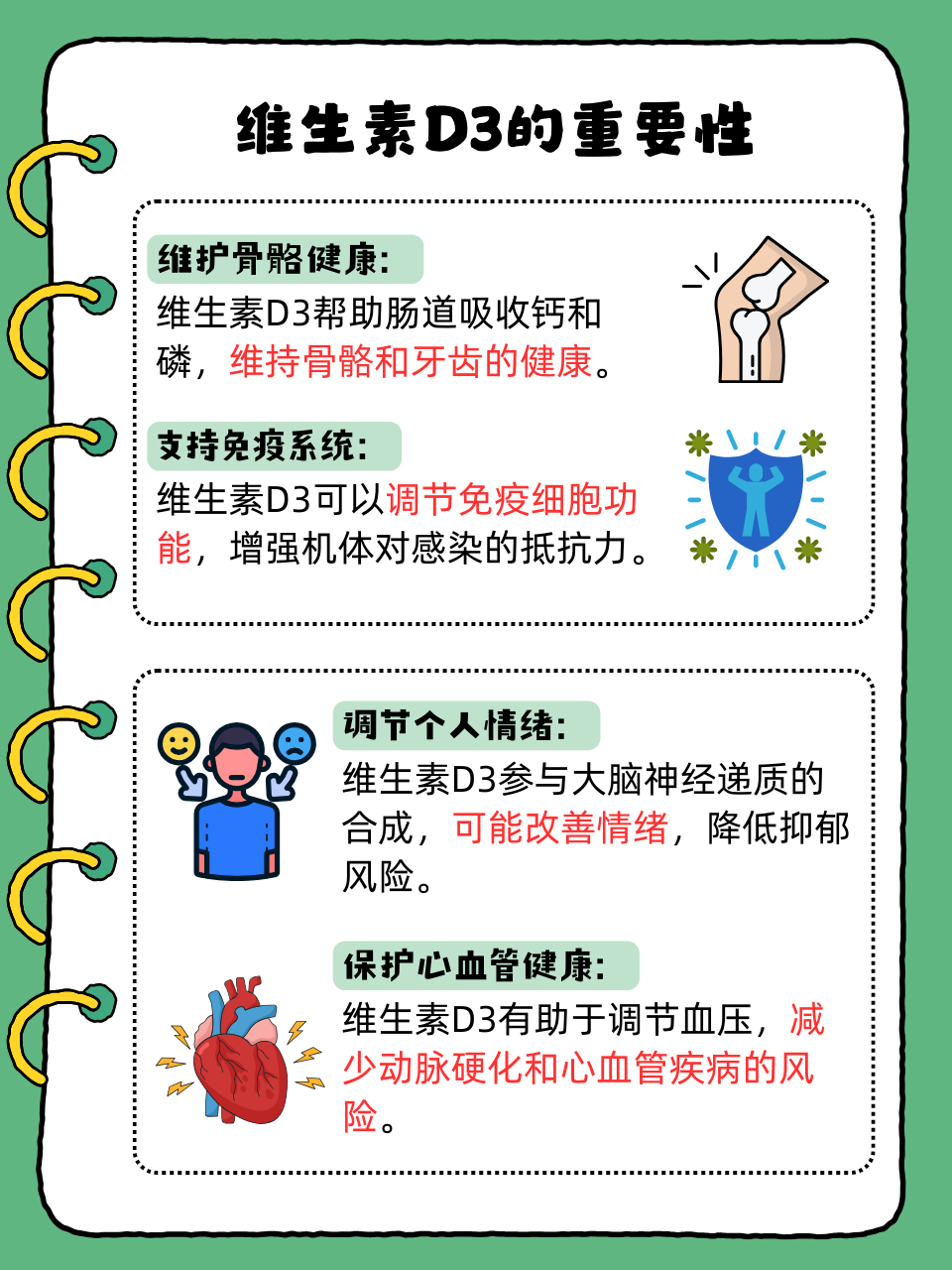 增强免疫系统,抵御疾病侵袭