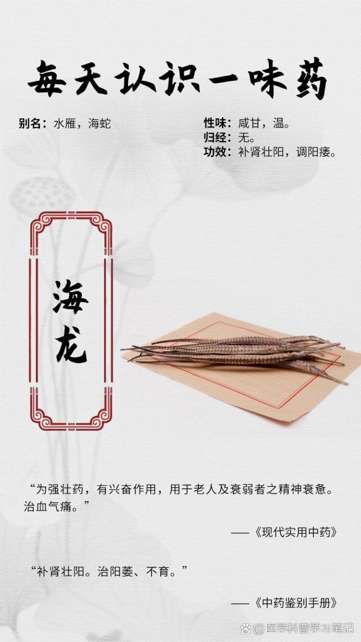 如何正确使用海龙?