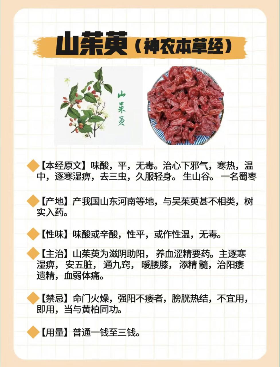 自然的力量,健康的守护