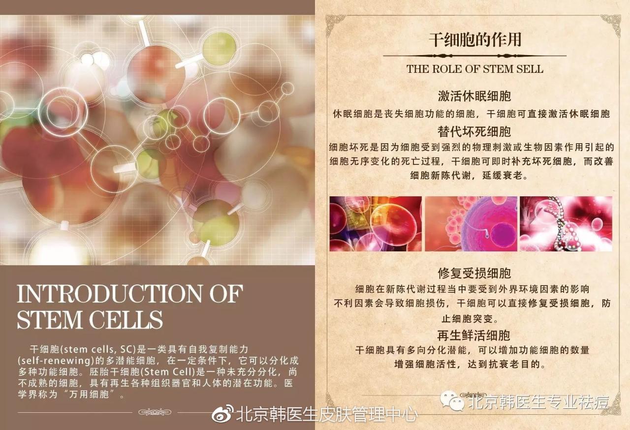 治疗疾病的新的希望