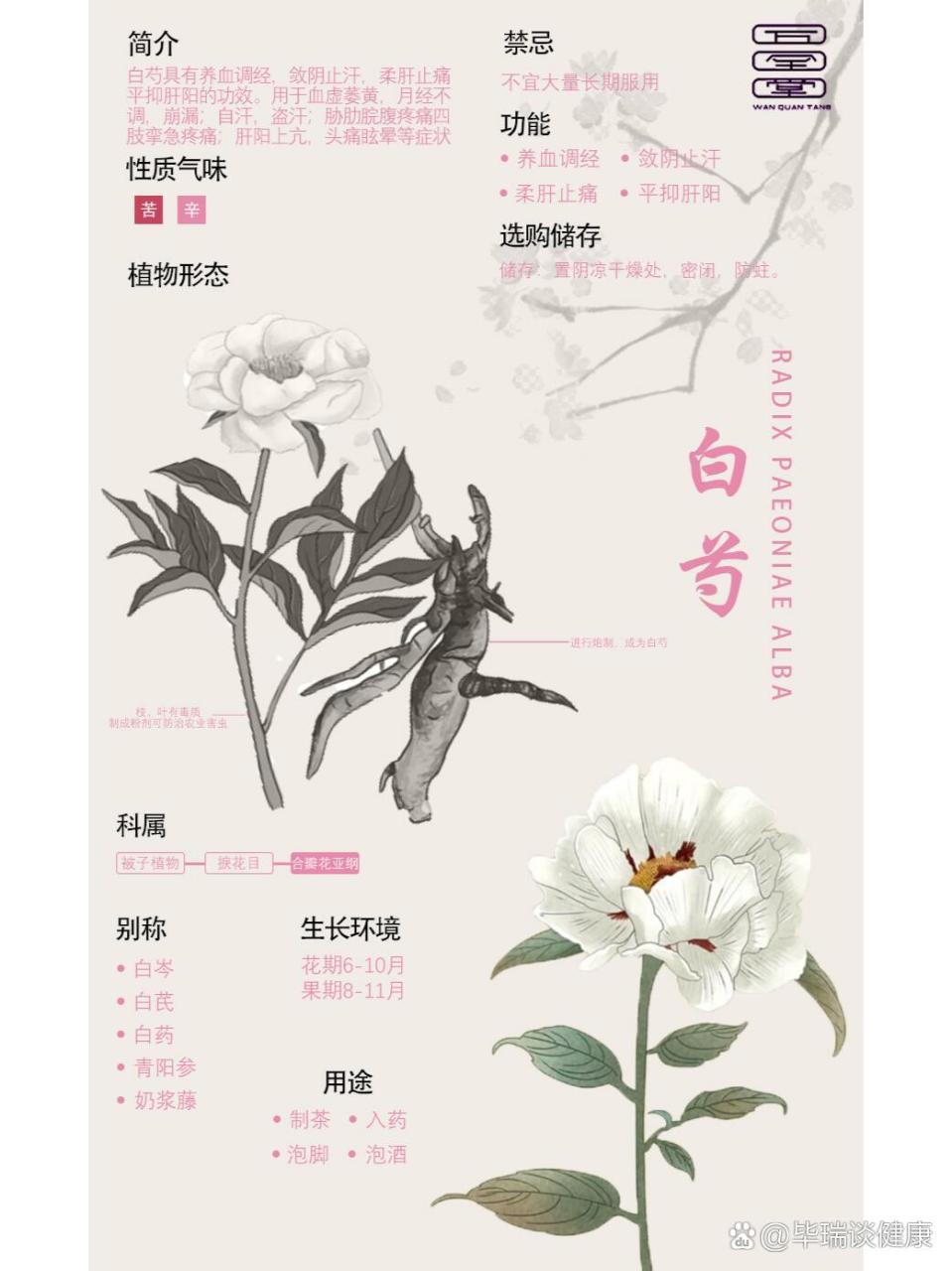 疏肝理气,缓解情绪压力