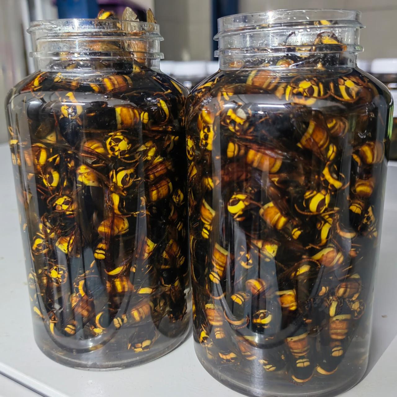 正确的使用方法