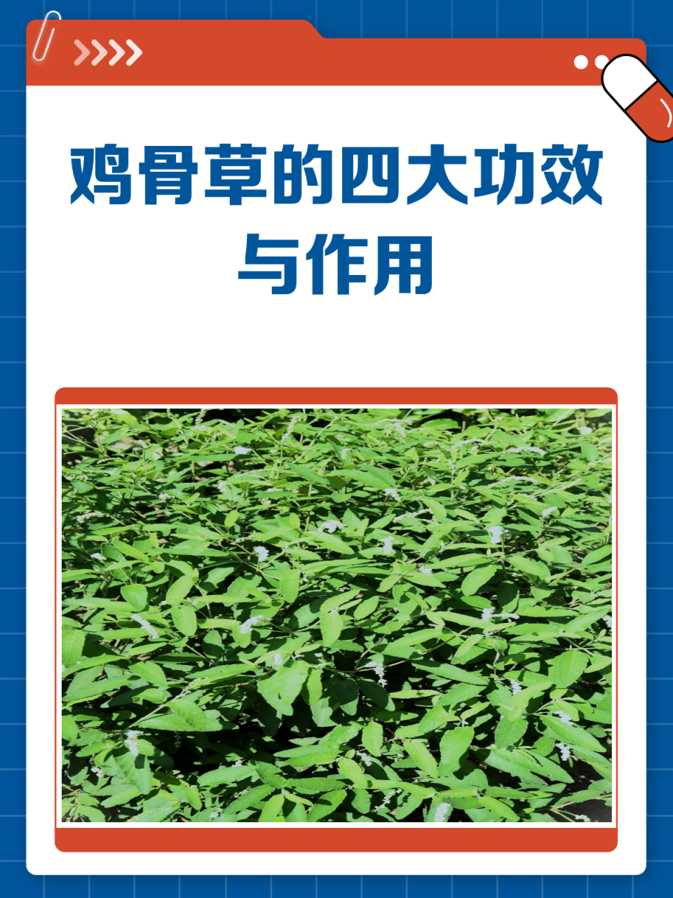 日常保健的小帮手