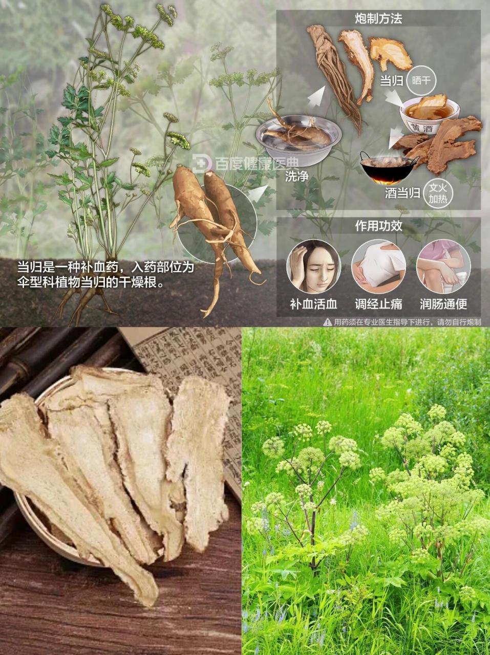 常见用途,灵活搭配更佳