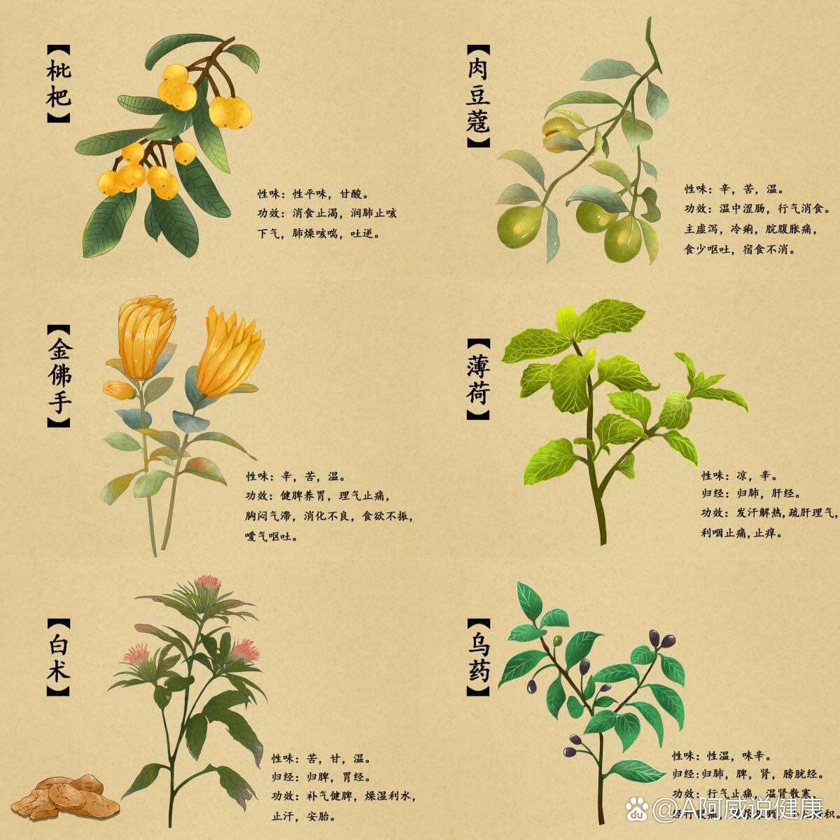 如何正确选择和使用中药材