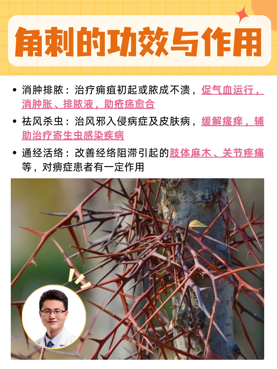 健康益处多多,适合日常养生