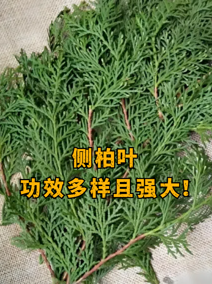 持之以恒才能见效