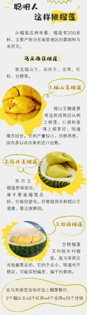 促进消化,改善肠道