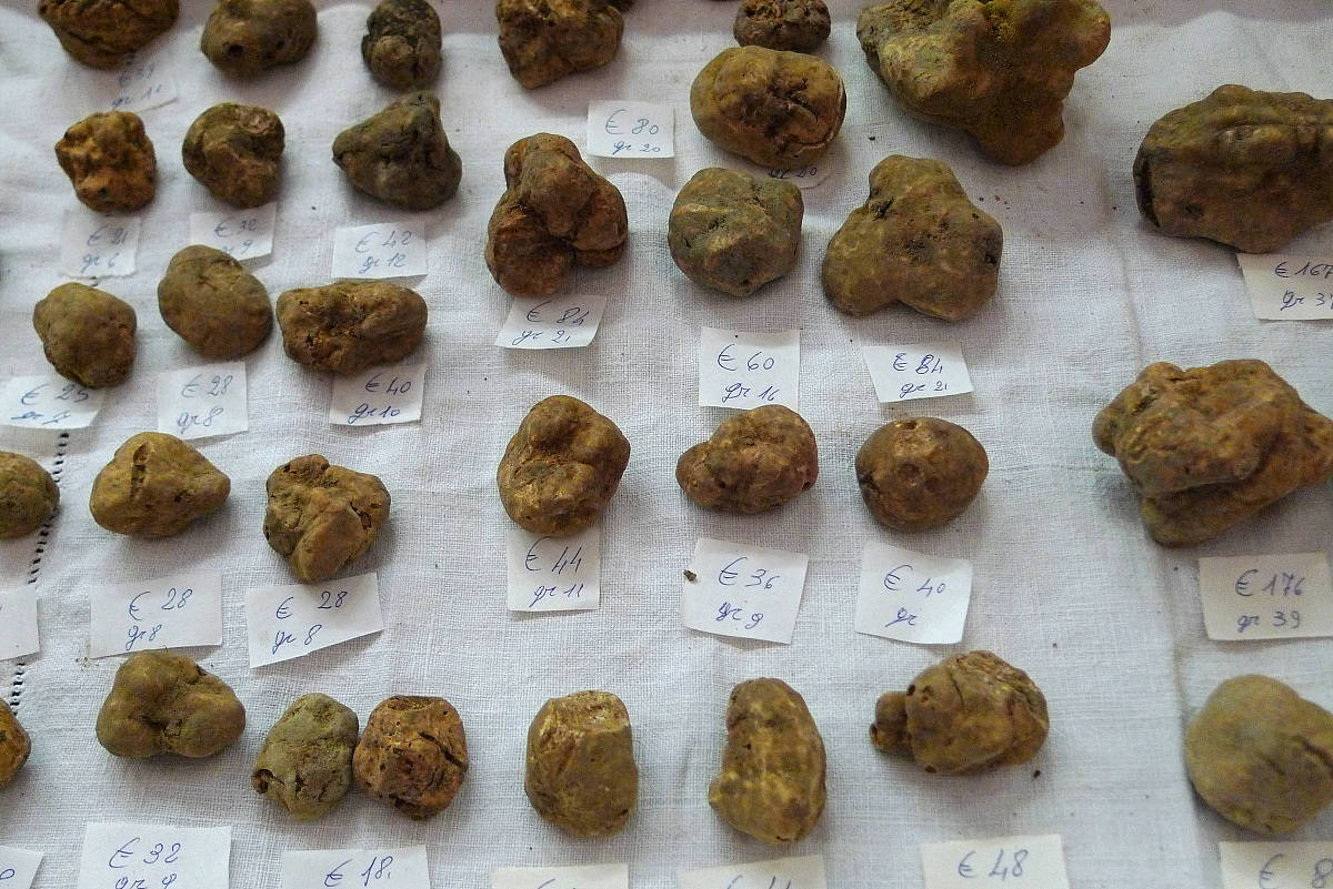 蟾酥的使用方法与注意事项