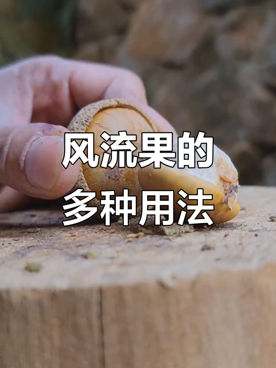 日常使用方法推荐