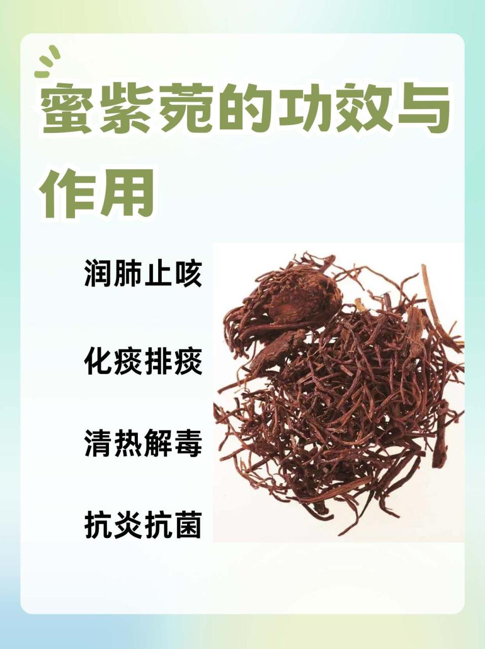 紫菀的健康益处