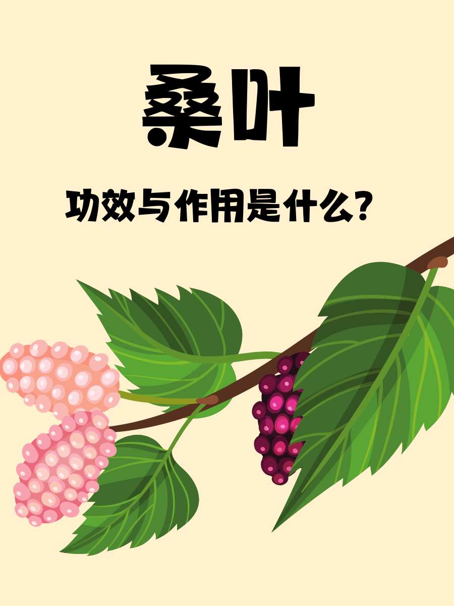 有助于调节血糖水平