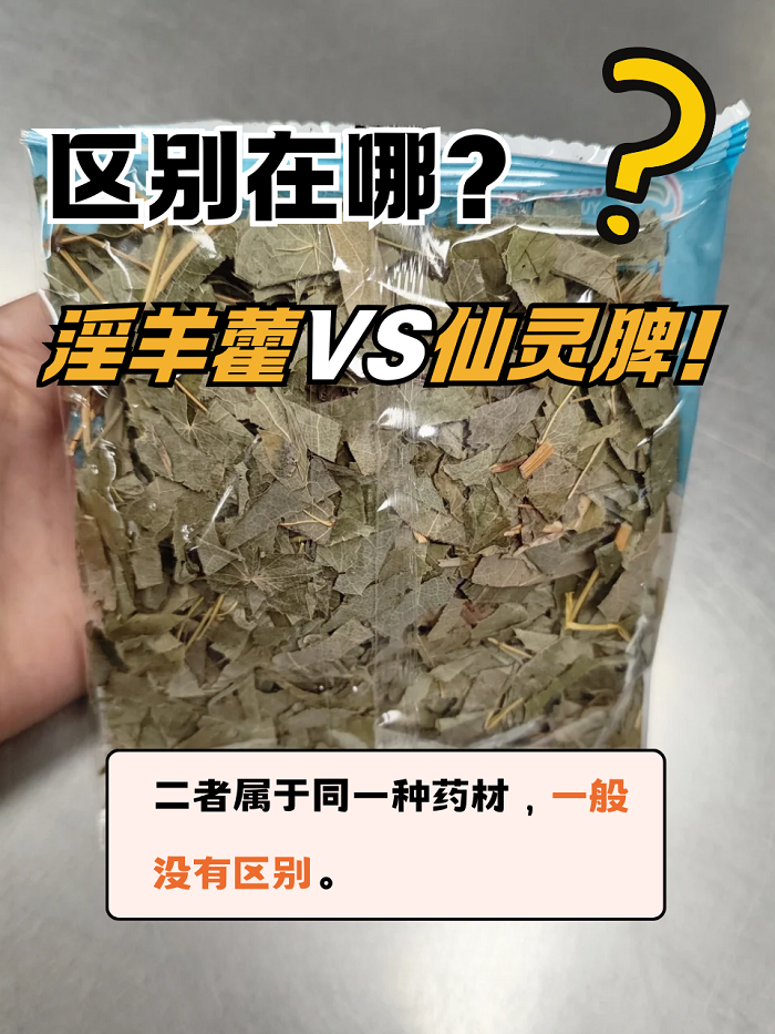 调节内分泌,延缓衰老