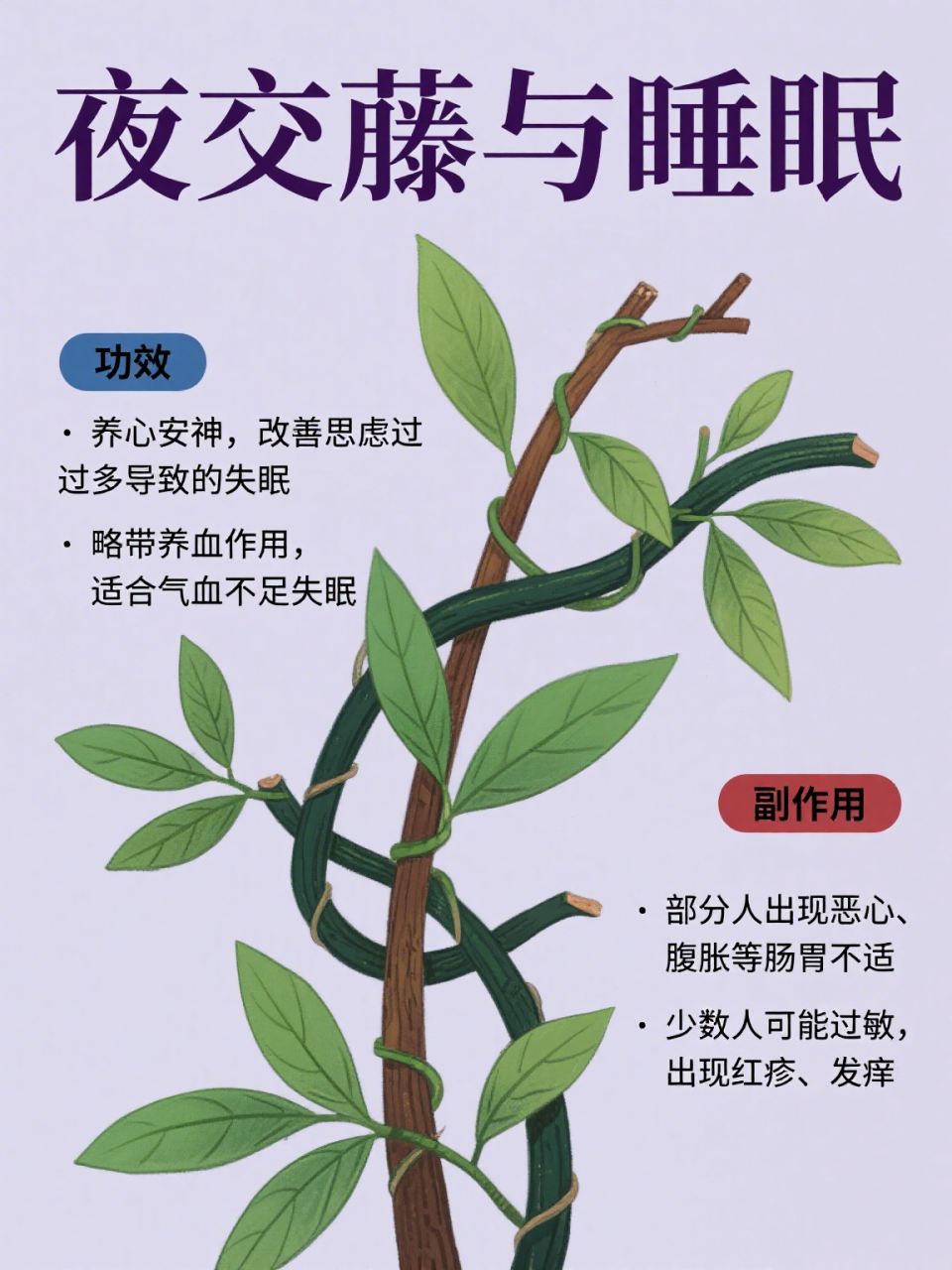 夜交藤的药用价值不容忽视