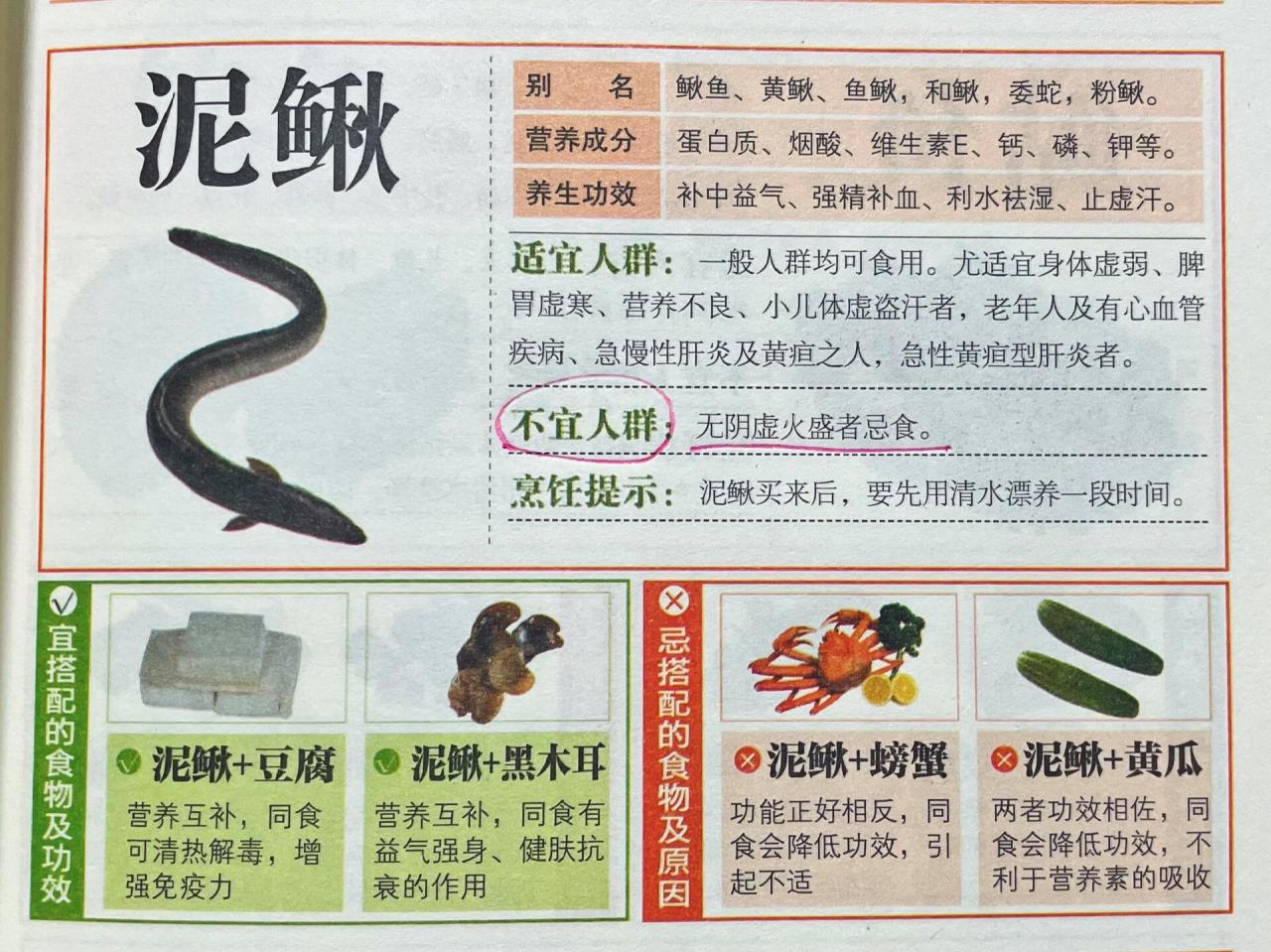 如何正确烹饪泥鳅?