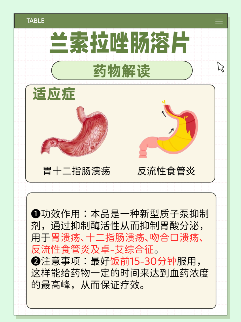 注意事项与使用建议