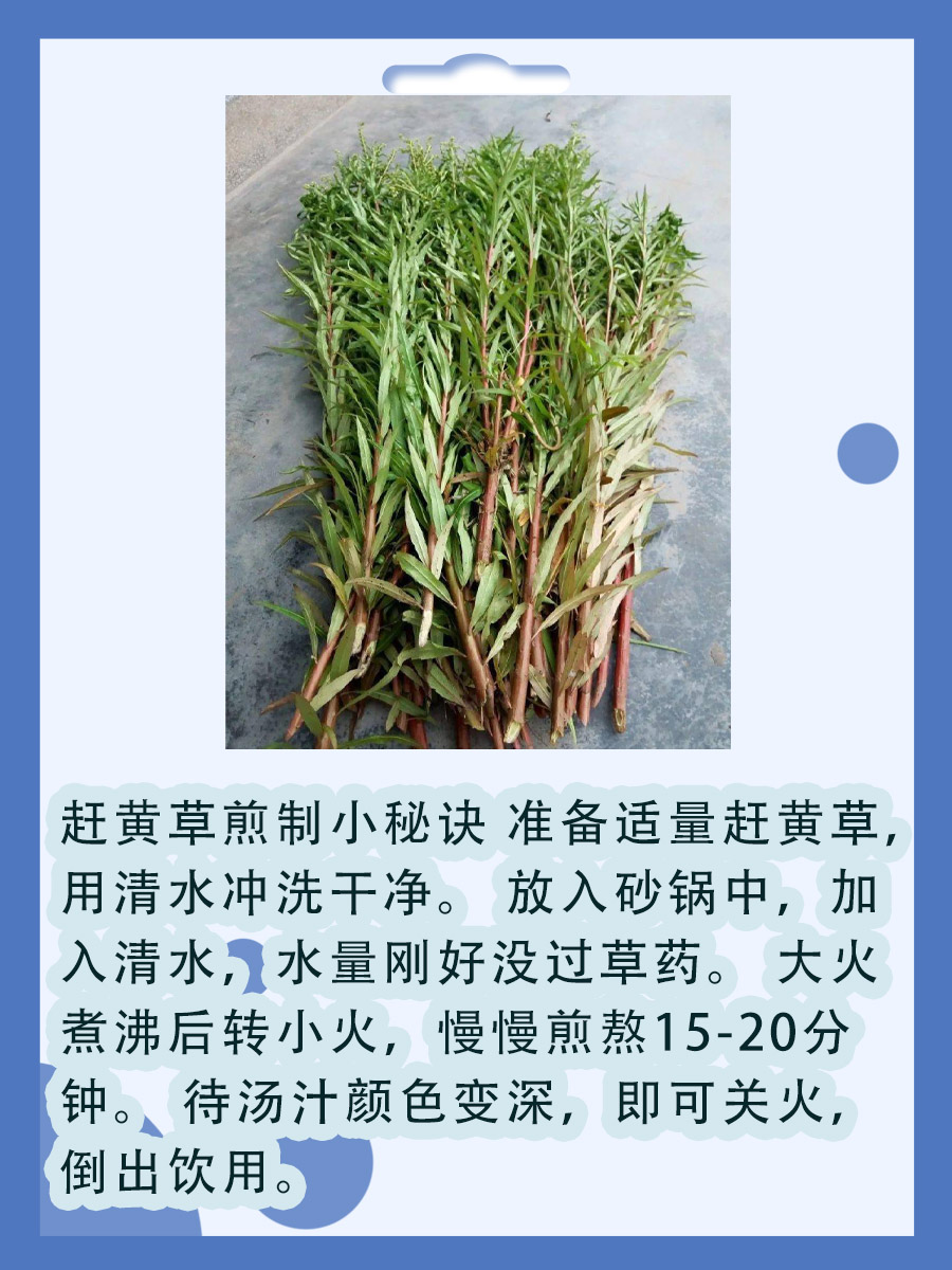 提高免疫力,延缓衰老