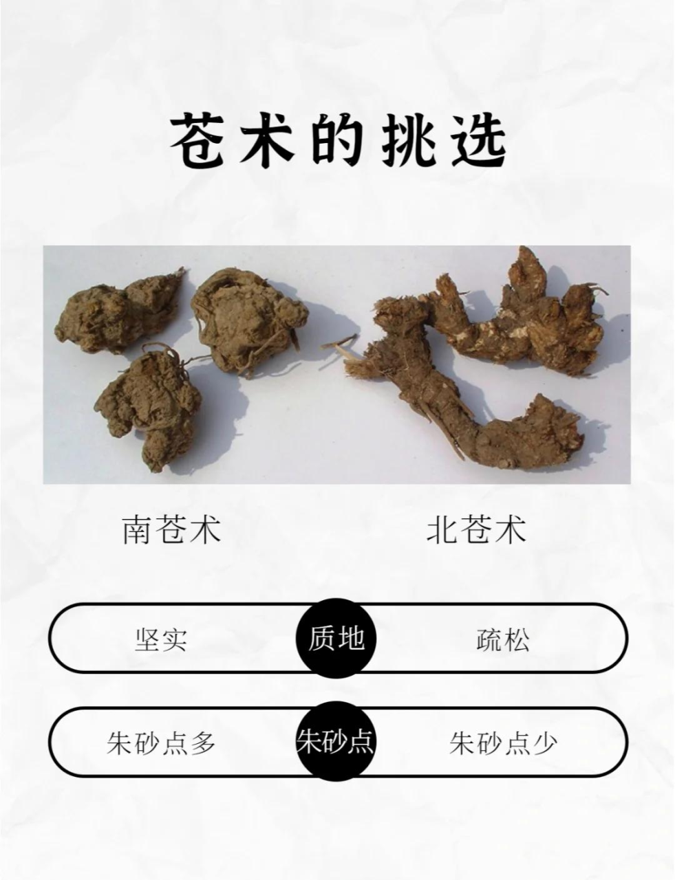 现代生活中的实用之道