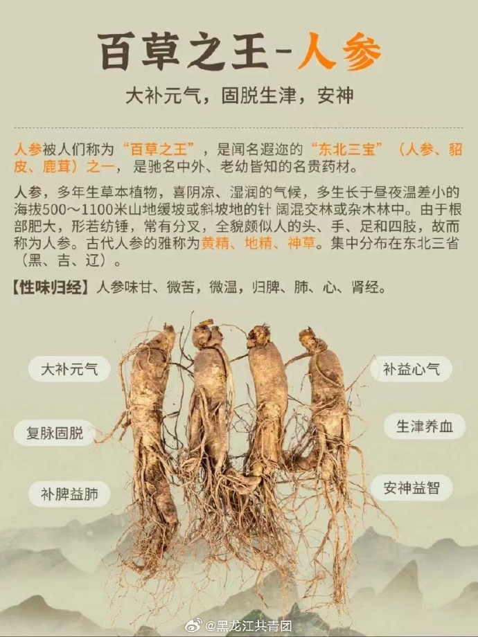 护心护脑,延缓衰老