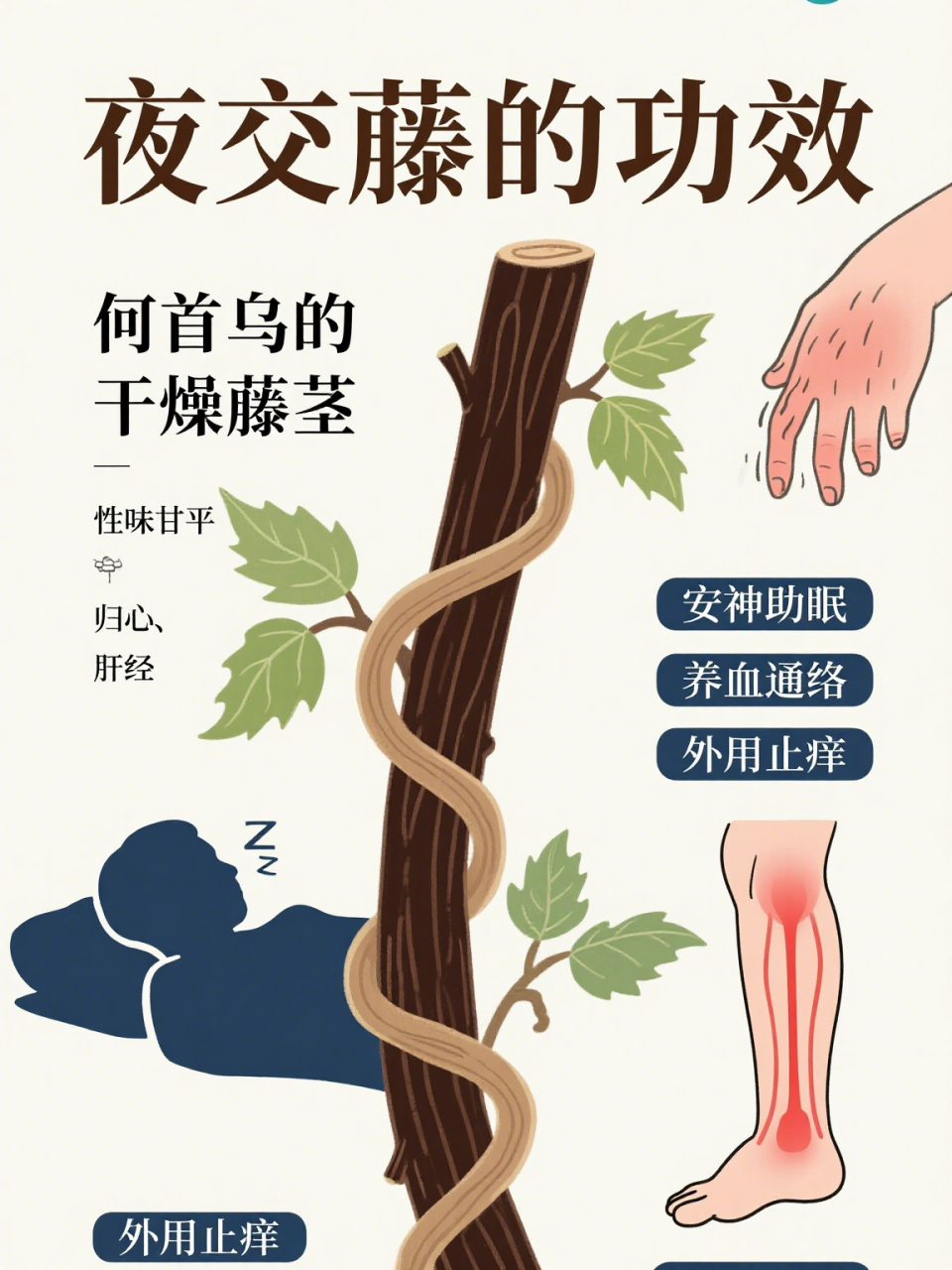 选择夜交藤,为健康加分