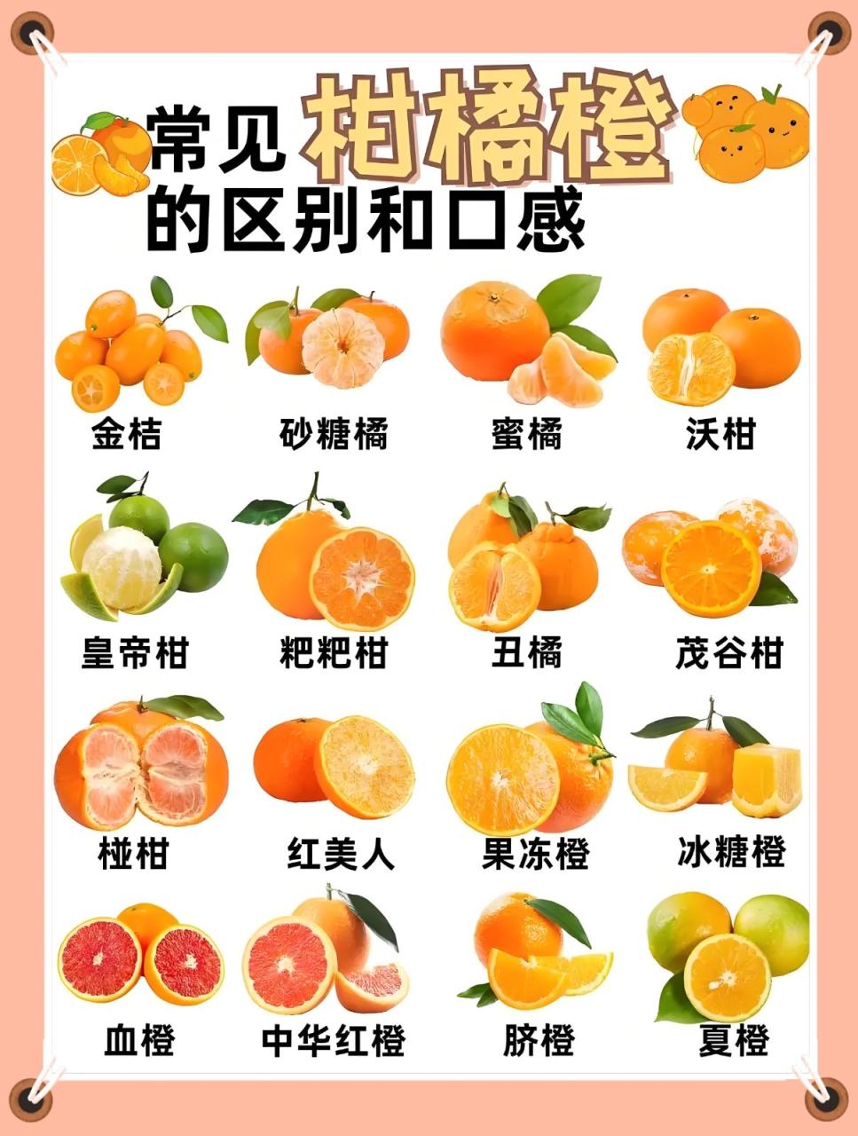 排毒养颜,减缓衰老