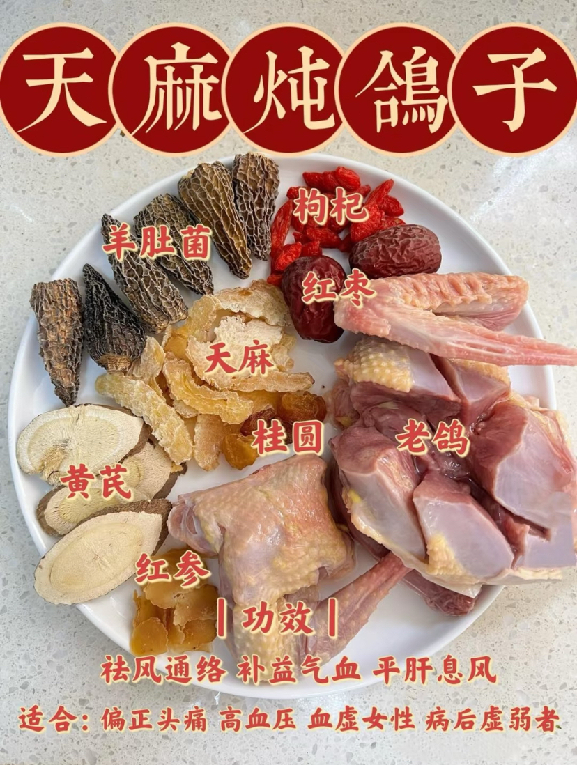 鸽子的健康功效多样