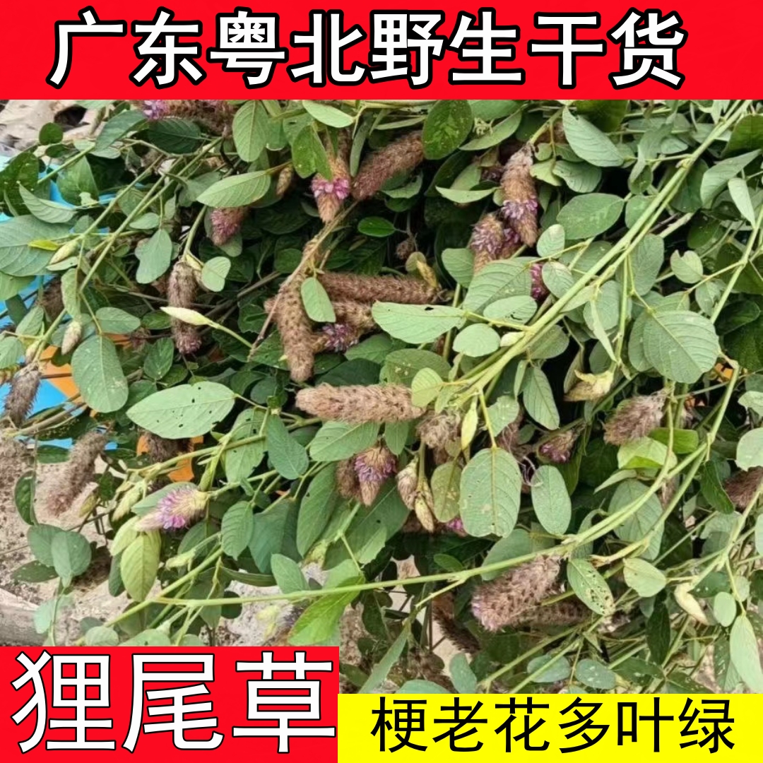 抗炎抗氧化,增强免疫力