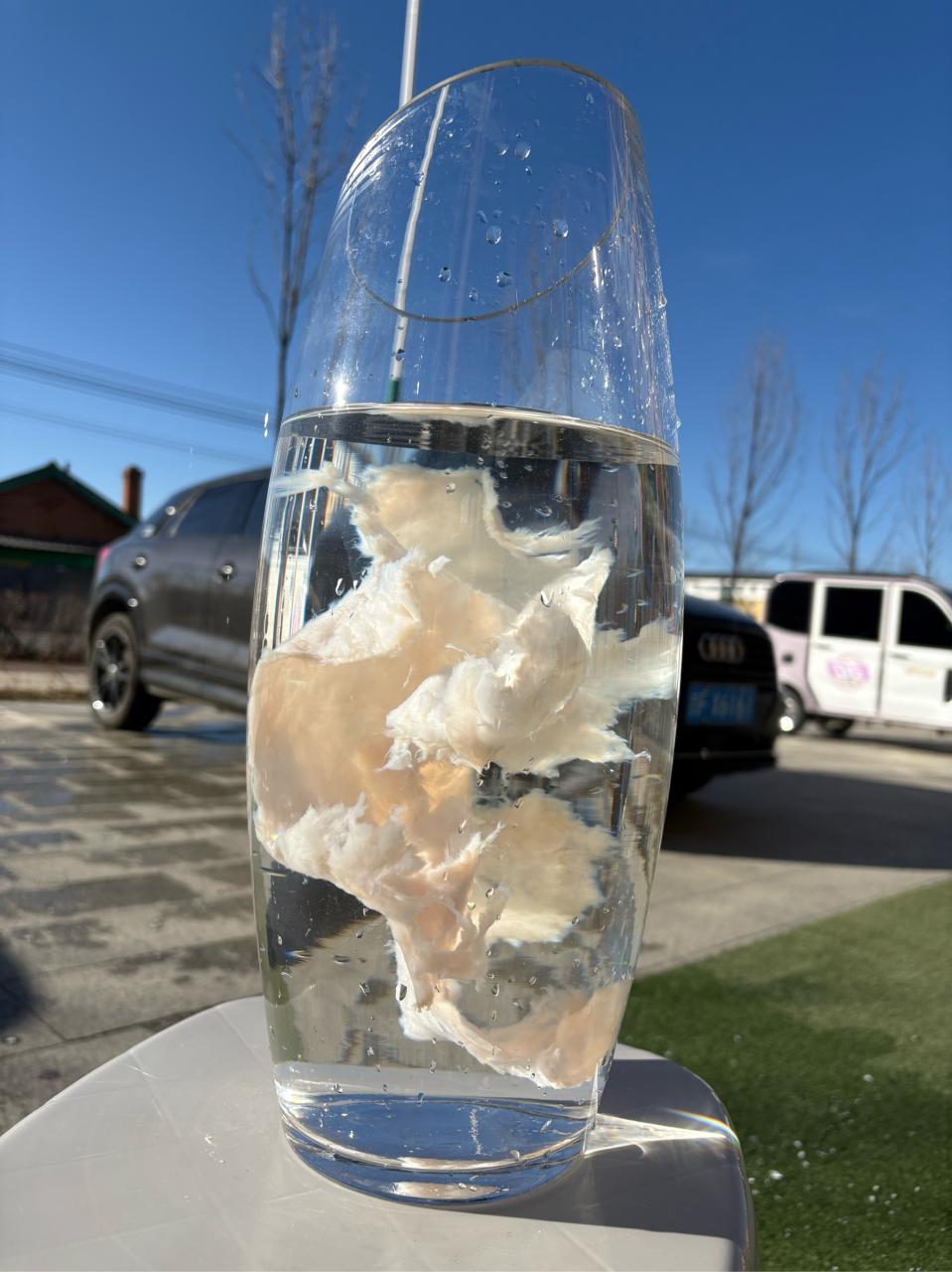 太岁在传统养生中的实际应用