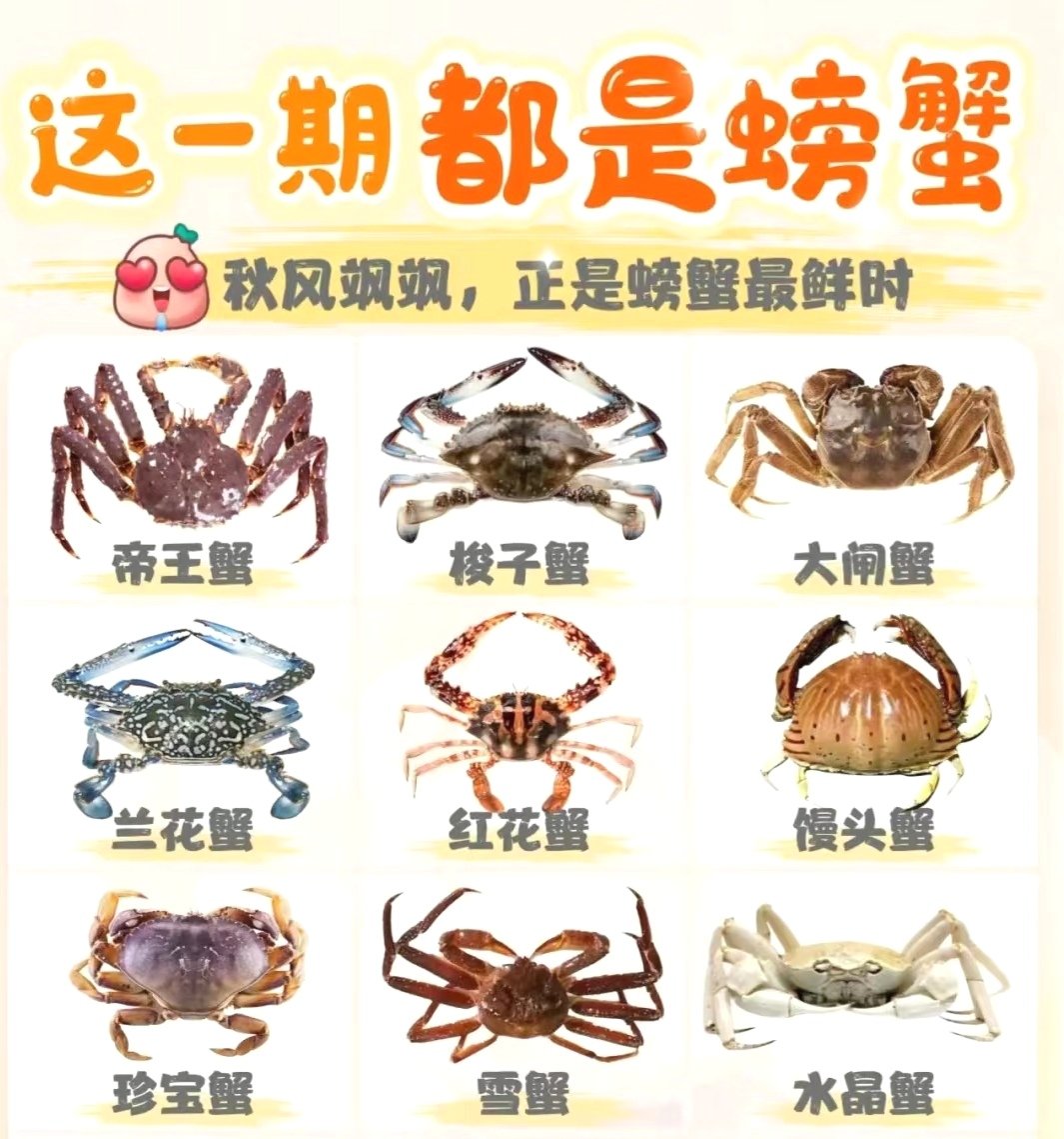 有益于心血管健康的天然食材