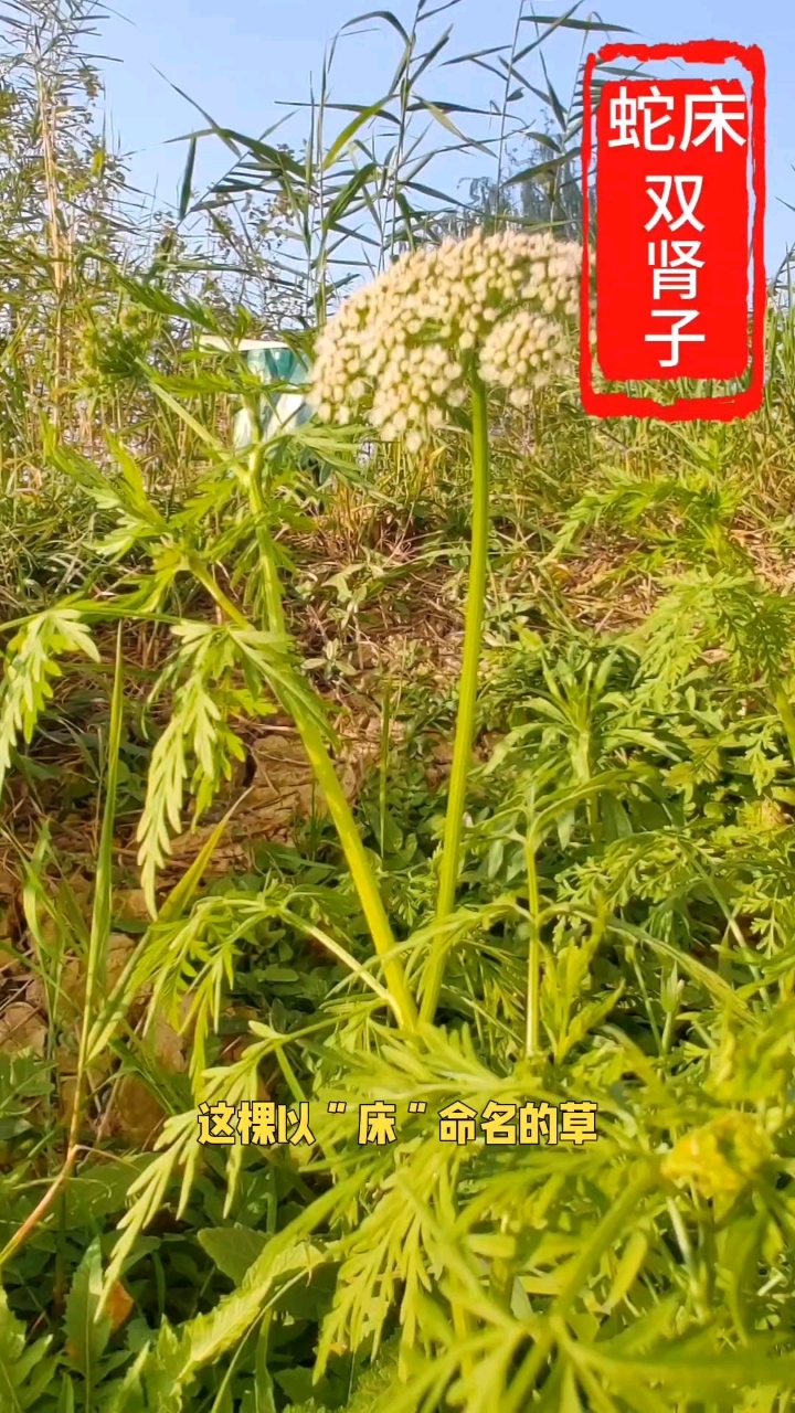 日常生活当中好用小技巧