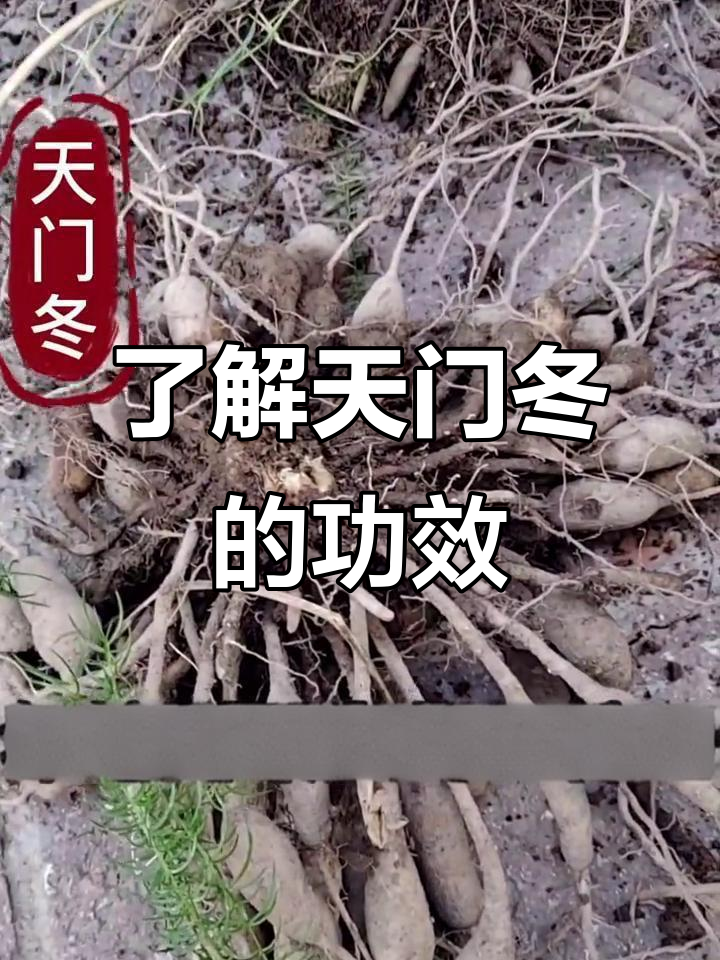 自然馈赠,健康之选