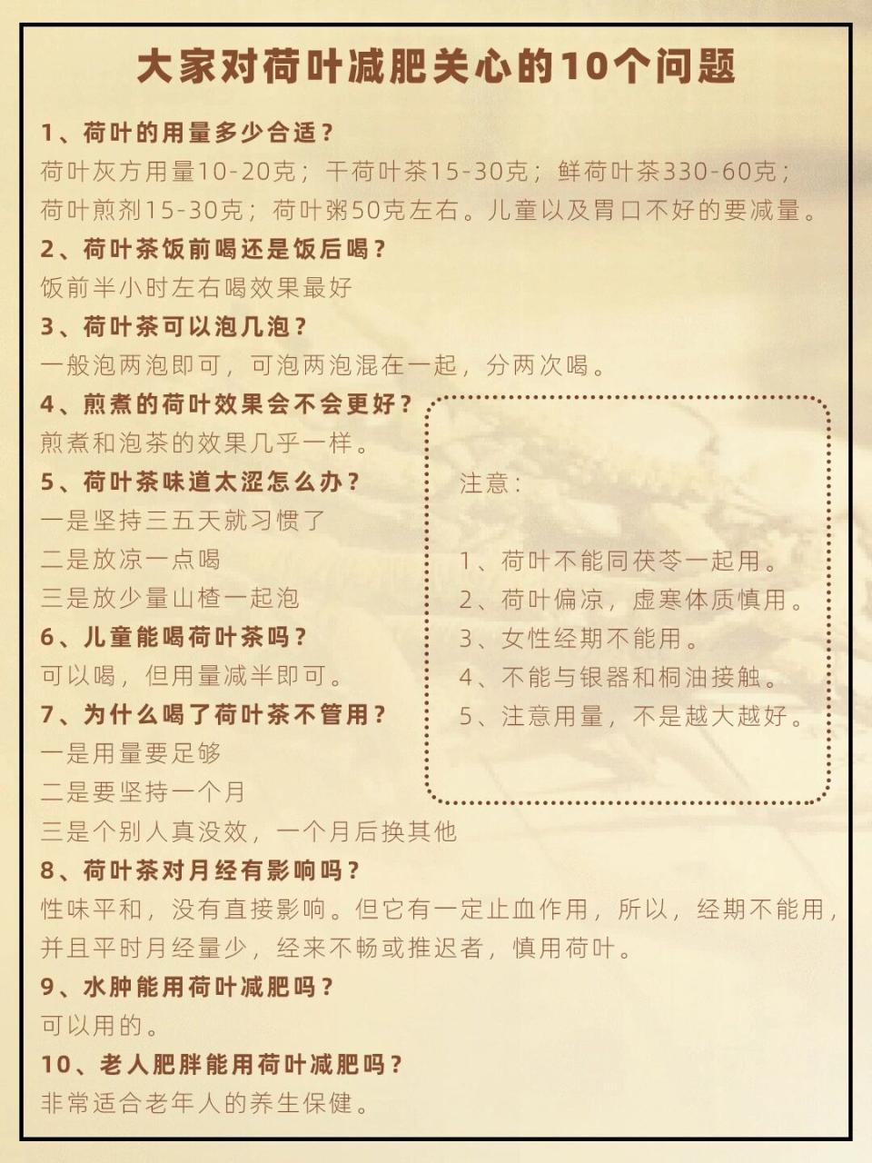 怎样正确饮用荷叶茶