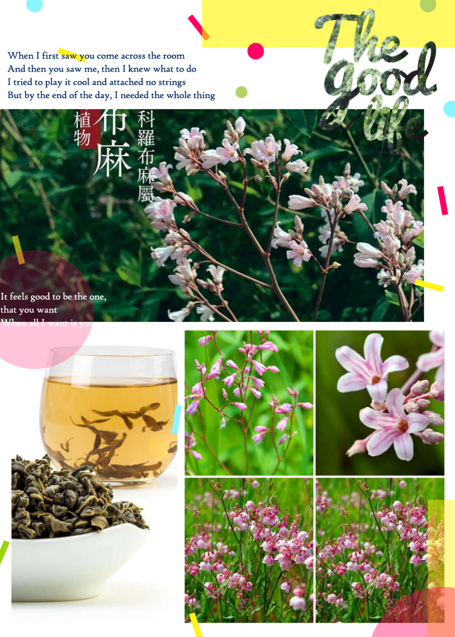 注意事项及适用范围