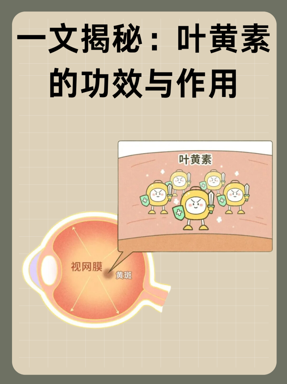 如何科学补充叶黄素?