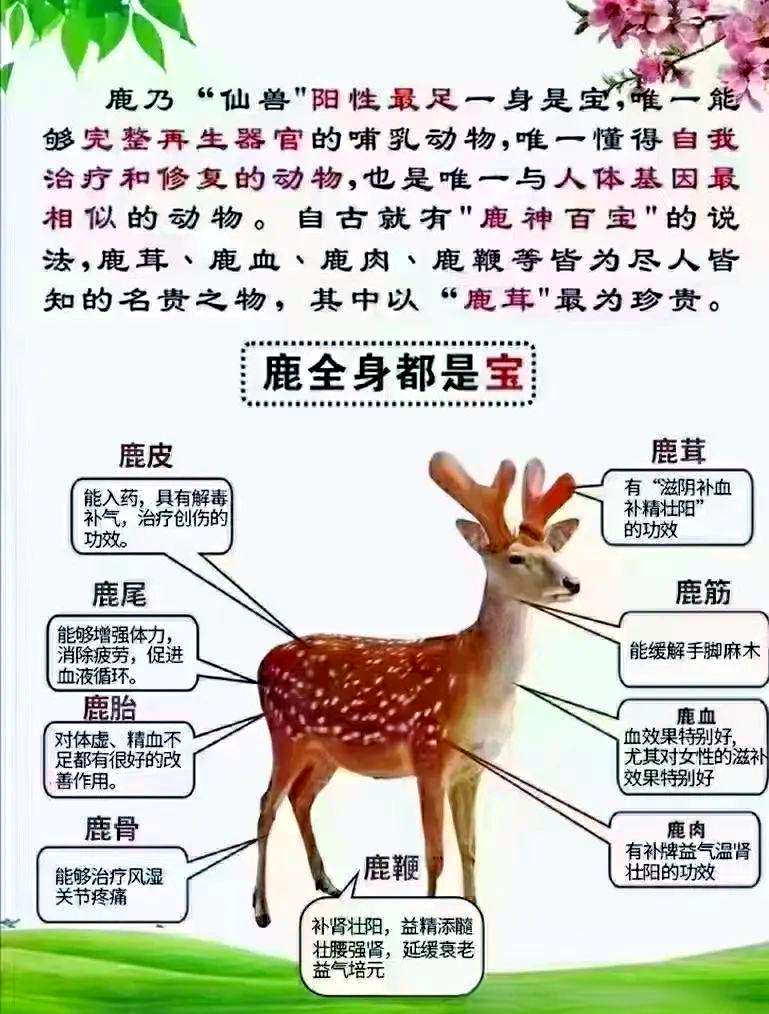 合理食用更有效