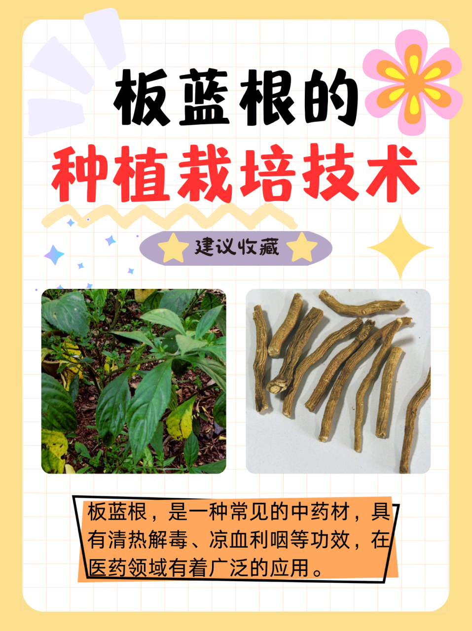 使用方法多样,方便实用