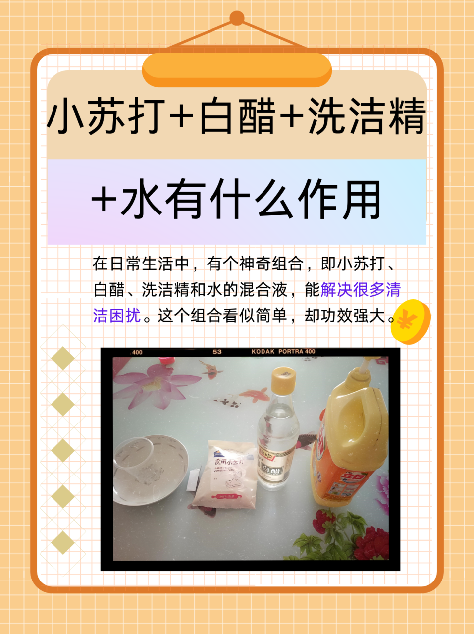 美容养生,自然选择学说