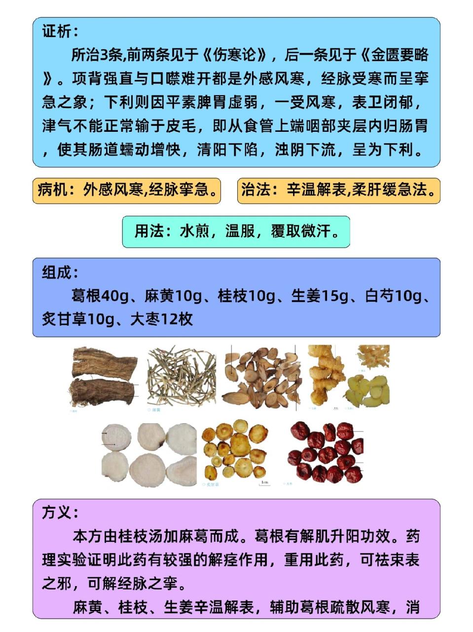 中医理念下的健康之道