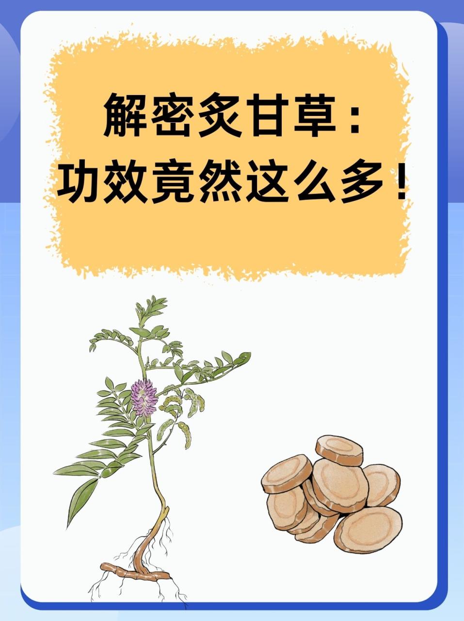 常见用途及应用提议