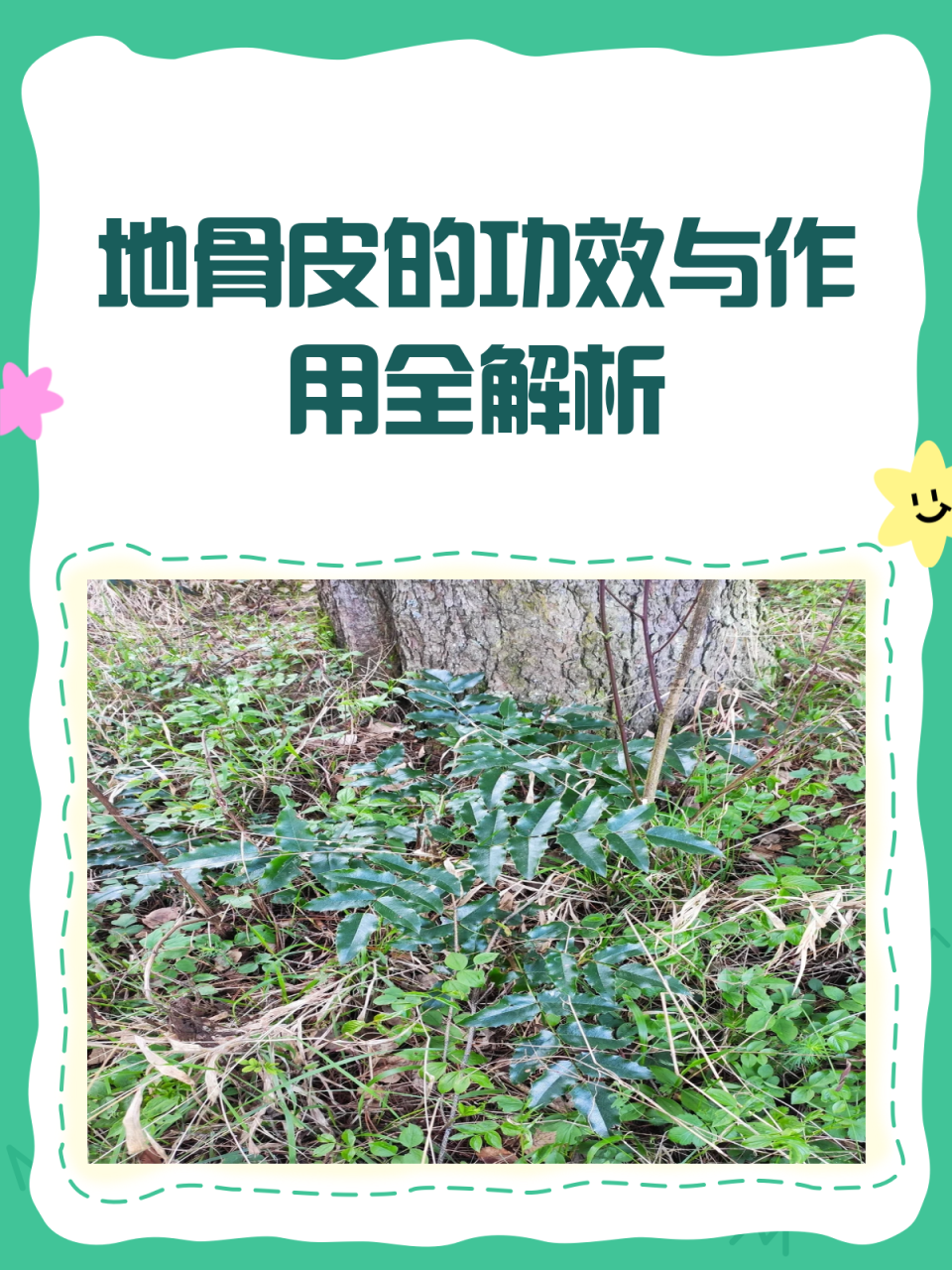 常见用途与搭配