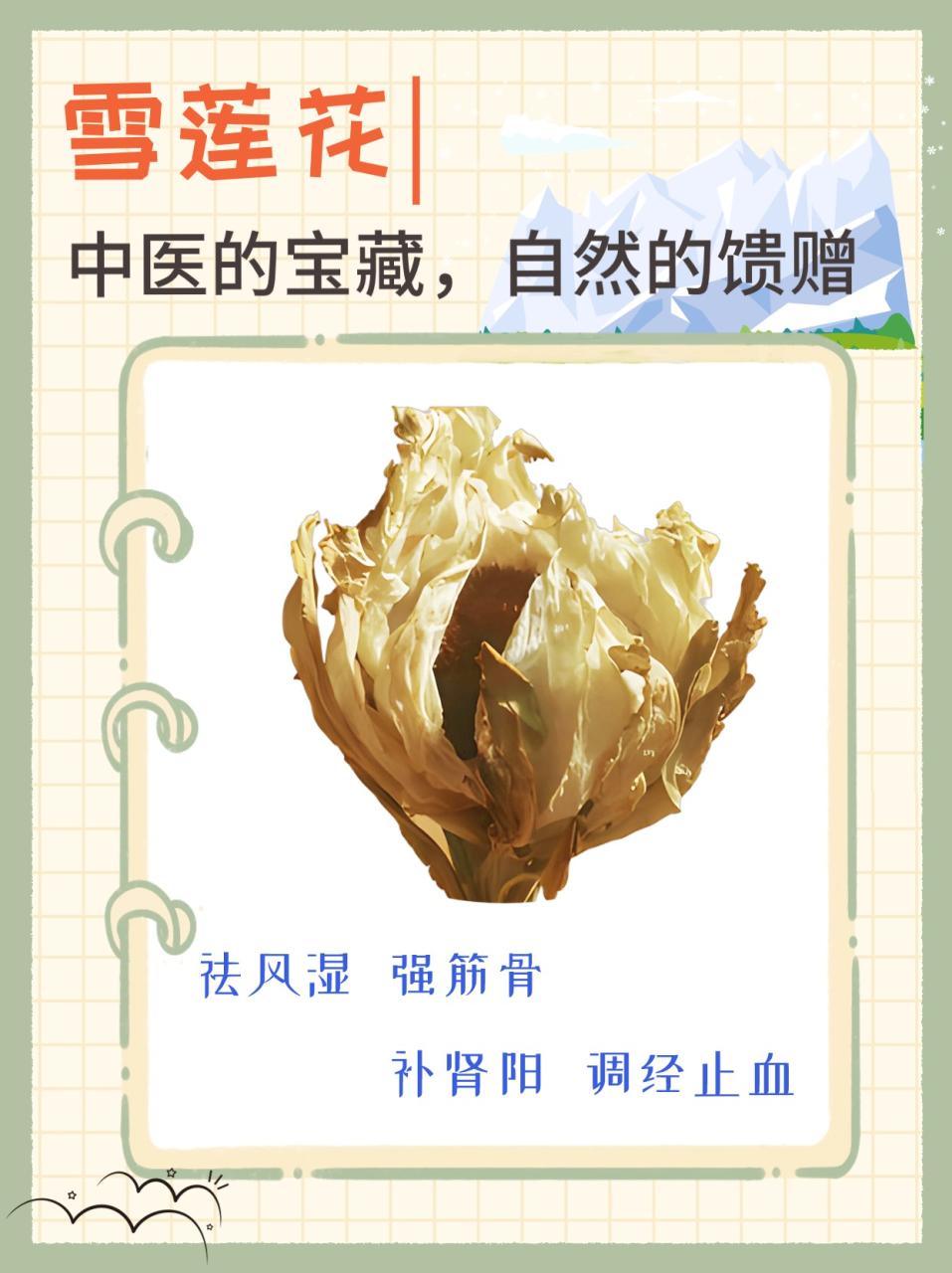 养生功效不容忽视